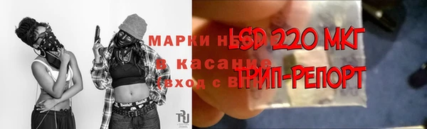 PSILOCYBIN Киреевск