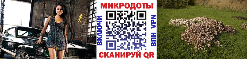 Купить где  Певек  Псилоцибиновые грибы мицелий 
